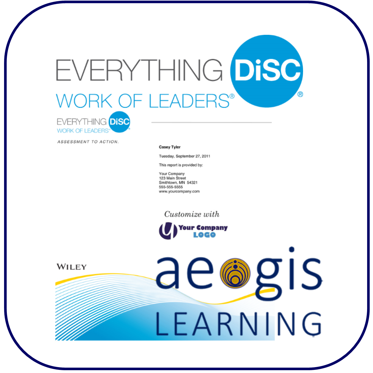 DiSC Leadership Assessment