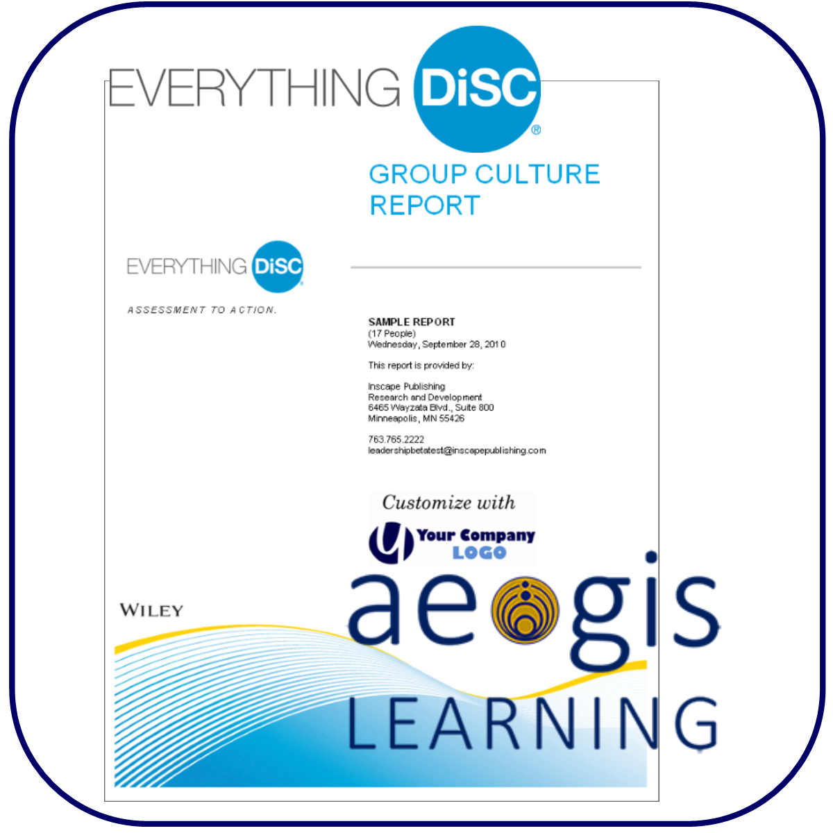 DiSC Group Culture Report