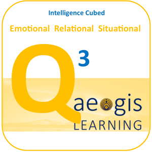 Emotional Intelligence, Situational Awareness and Relationships
