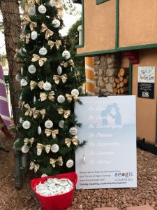 Aegis Learning Cares