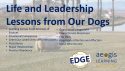 Leading Edge from Aegis Learning