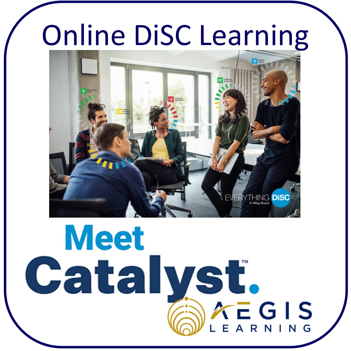 Everything DiSC Catalyst Online Learning
