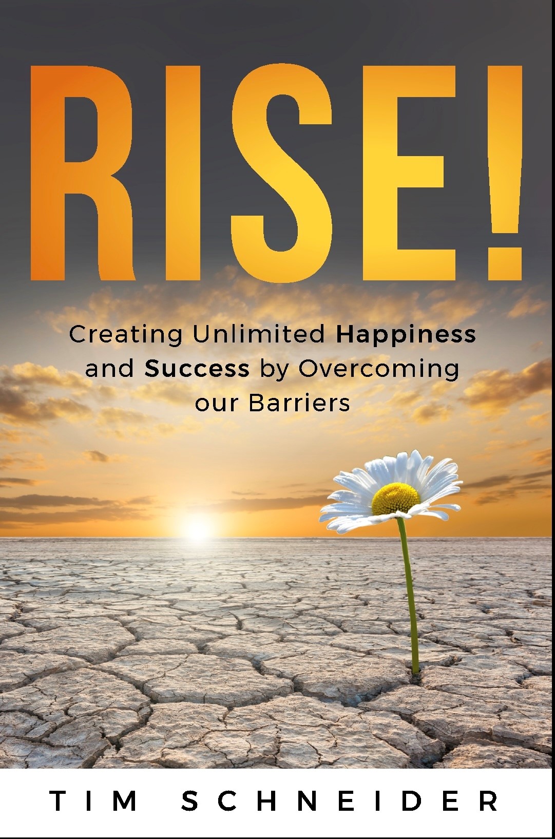 Rise! by Tim Schneider